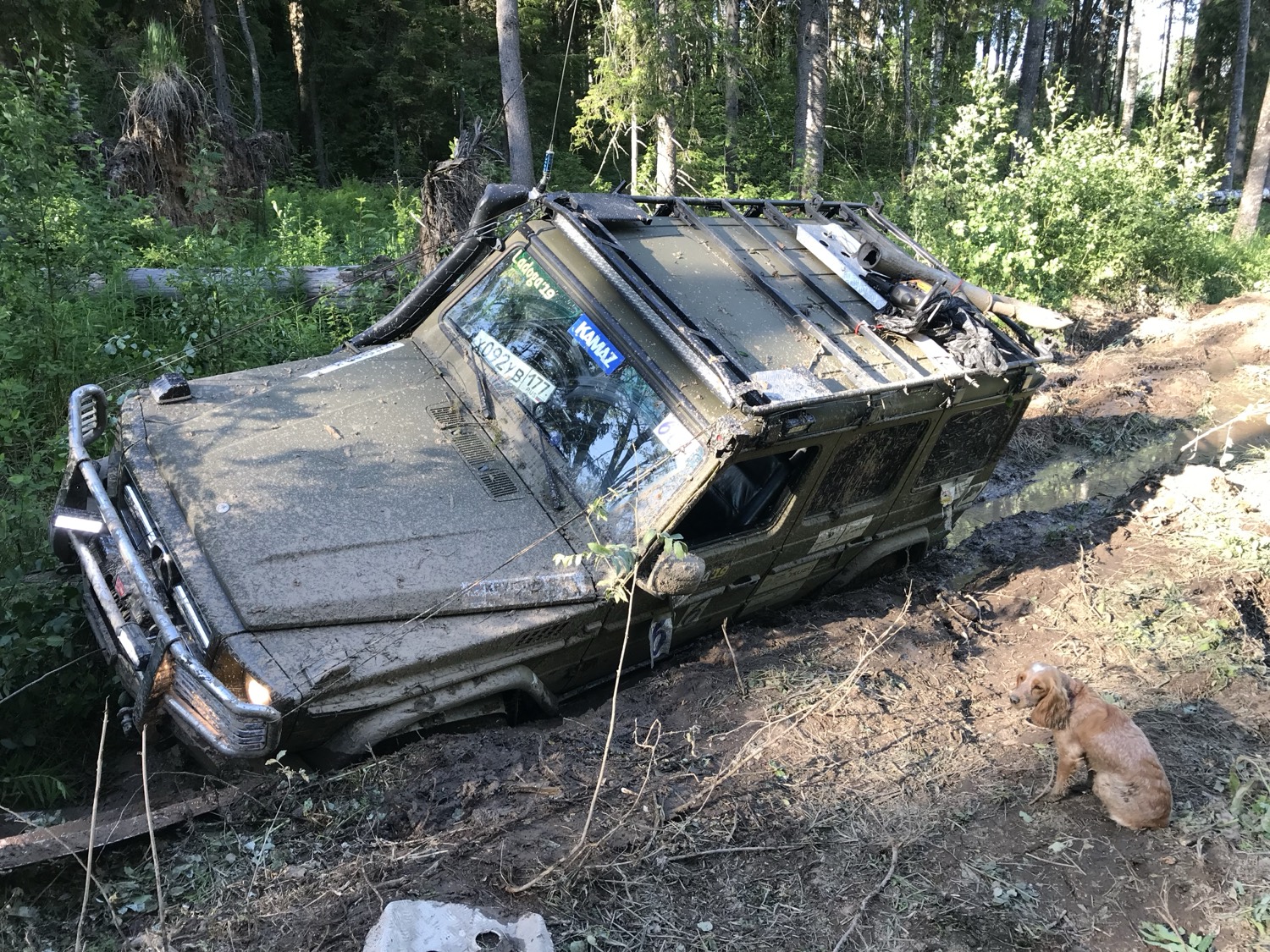 Подготовленный внедорожник на лесном бездорожье